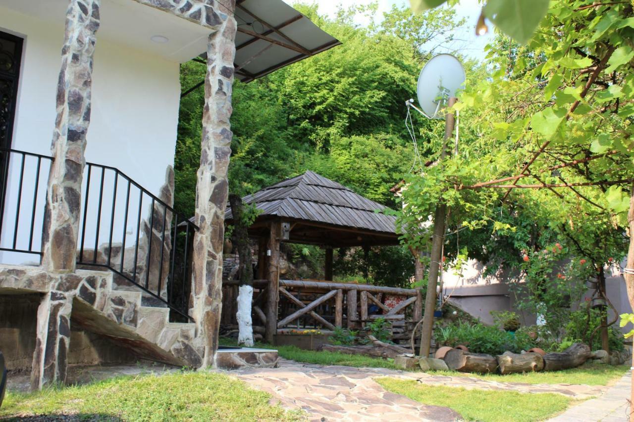 Hotel Nikala'S House Bordżomi Zewnętrze zdjęcie